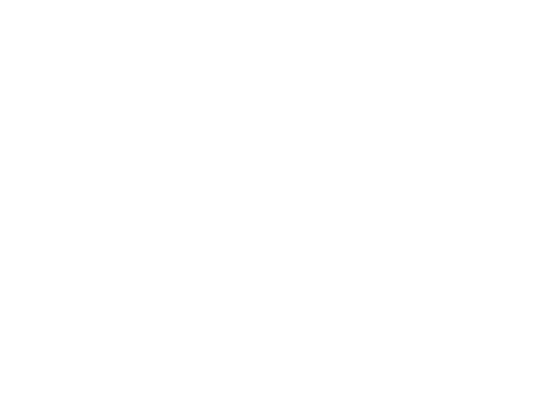 Disruptive SW